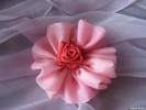 kvity img_3629