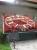 lviv-16062013 img_1399