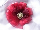 organza cryptofoto2