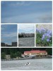 shtorm collage_photocat
