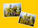 yellow-nastrij-2 collage_photocat_0
